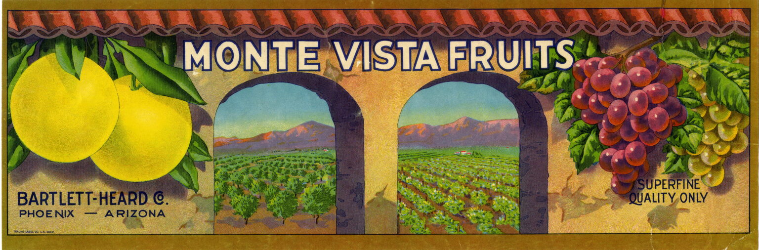 Monte Vista Monte Vista